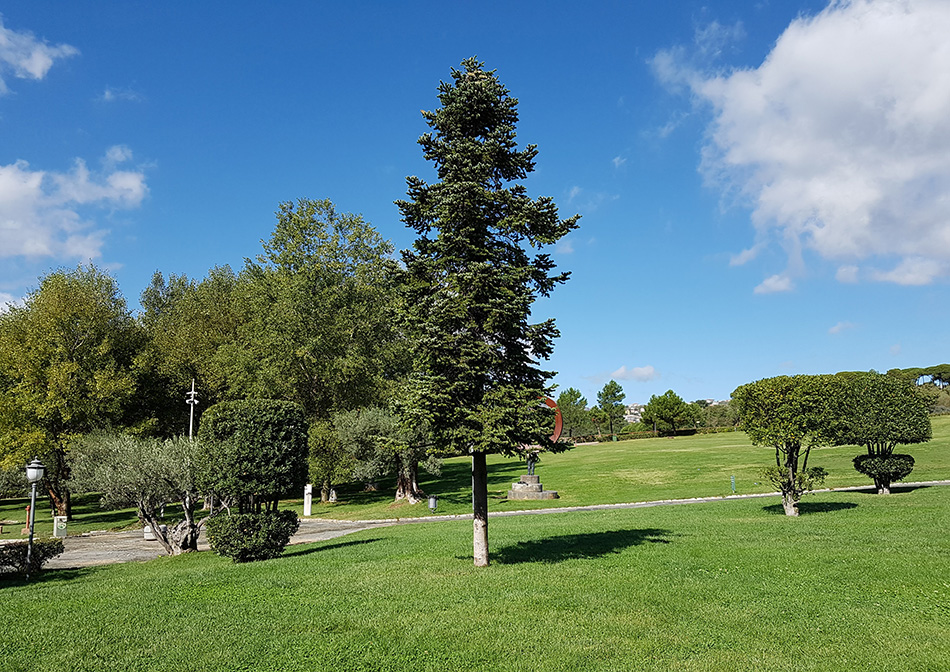 Il grande Parco della Biodiversità Mediterranea di Catanzaro tra arte, natura, verde, sport e musei