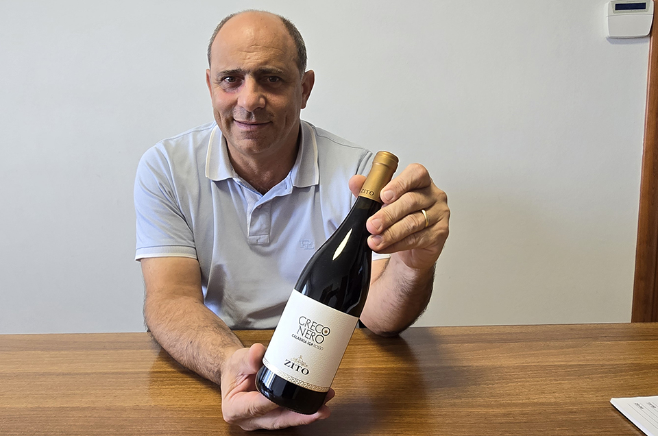 Greco Nero di Zito: un vino ideale per degustare i piatti tipici della tradizione calabrese